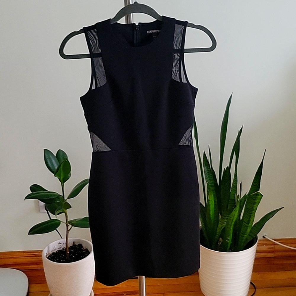 Express Black Sleveless Mini Dress With Mesh Size 4
